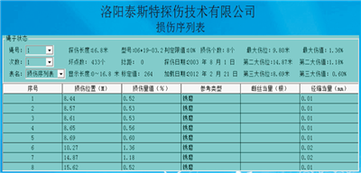 便攜型鋼絲繩探傷儀檢測報告損傷序列表